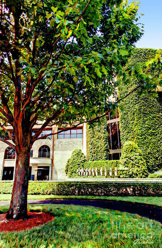 Keeneland Art Print featuring the digital art Keeneland Sycamore Tree by CAC Graphics