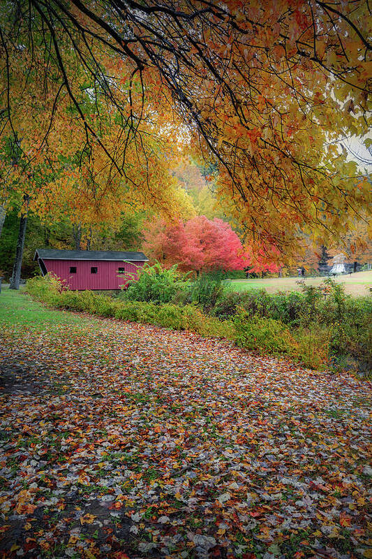 New England Covered Bridge Art Print featuring the photograph Kent Falls Covered Bridge by Bill Wakeley