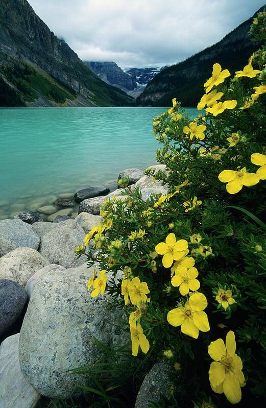 Tranquility Art Print featuring the photograph Lake Louise, Banff National Park by Design Pics/bilderbuch