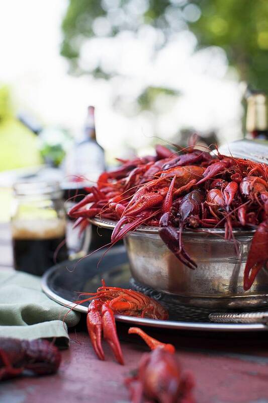 Ip_11211431 Art Print featuring the photograph Large Bowl Of Crawfish On An Outdoor Table by Yelena Strokin