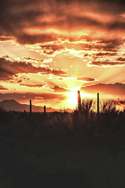 Sunset Art Print featuring the photograph Light of Arizona by Chance Kafka