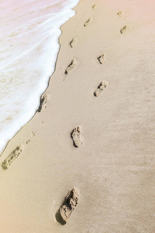 Beach Art Print featuring the photograph Little Feet by Jody Lane