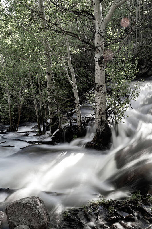 Rmnp Art Print featuring the photograph Long Exposure Shot of a Mountain Stream by Kyle Lee