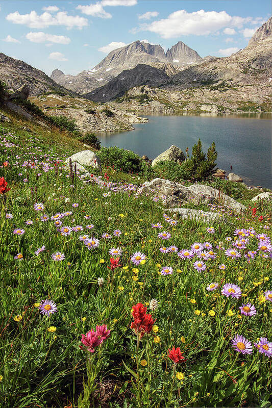 Wyoming Art Print featuring the photograph Lower Jean Lake Wildflowers and Mount Arrowhead - Wind River Wilderness, Wyoming by Brett Pelletier