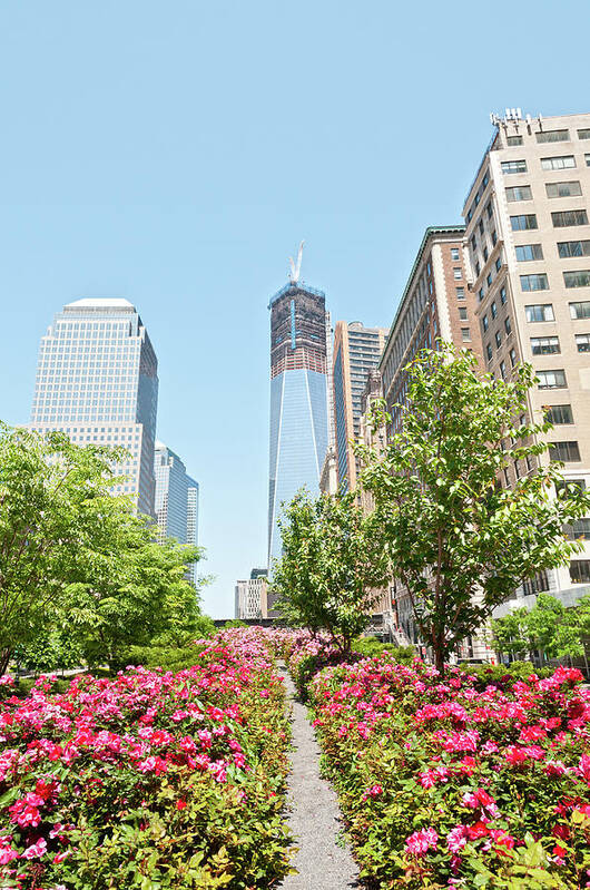 Lower Manhattan Art Print featuring the photograph Lower Manhattan With Freedom Tower And by Travelif
