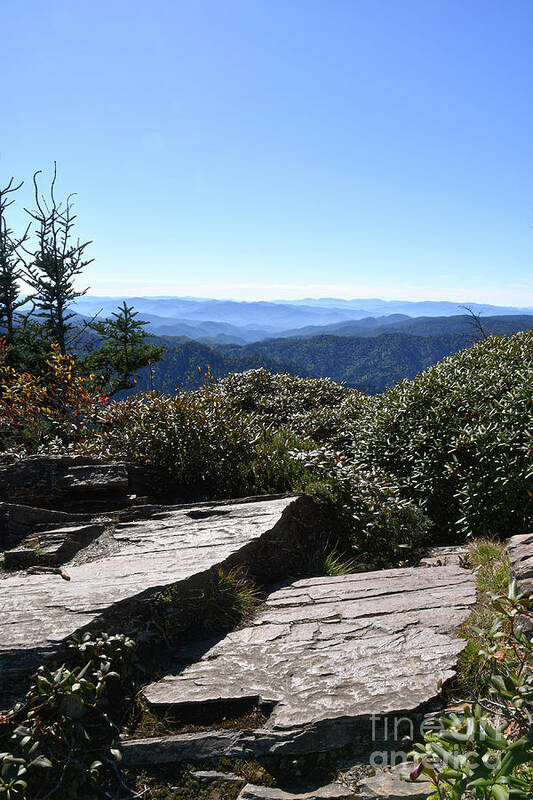 Mount Leconte Art Print featuring the photograph Mount LeConte 10 by Phil Perkins