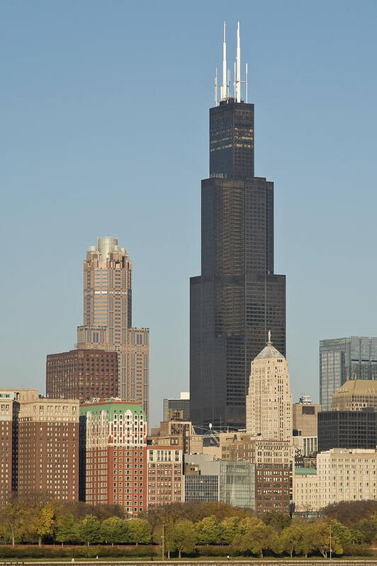 Built Structure Art Print featuring the photograph Multiple Buildings With Sears Tower In by Helpinghandphotos