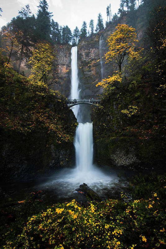  Art Print featuring the photograph Multnomah Autumn by Micah Roemmling