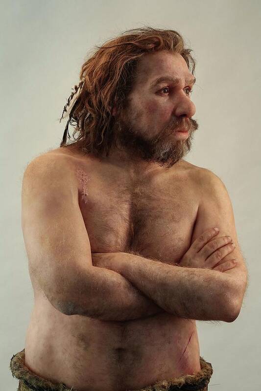 Adult Art Print featuring the photograph Neanderthal Man Reconstruction by mathilde LOOK AT SCIENCES