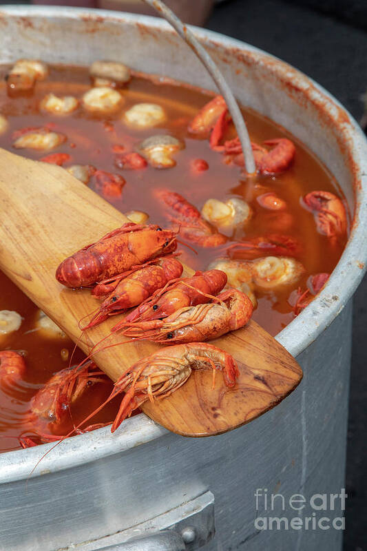 Nobody Art Print featuring the photograph New Orleans Crawfish Mambo by Jim West/science Photo Library