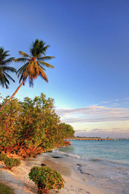 Scenics Art Print featuring the photograph Oistins Beach, Barbados by Michele Falzone