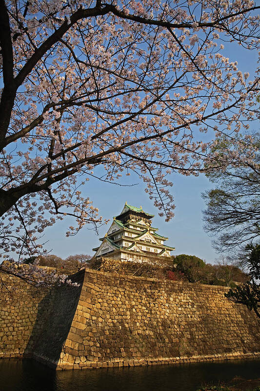 Clear Sky Art Print featuring the photograph Osaka Castle View by John W Banagan