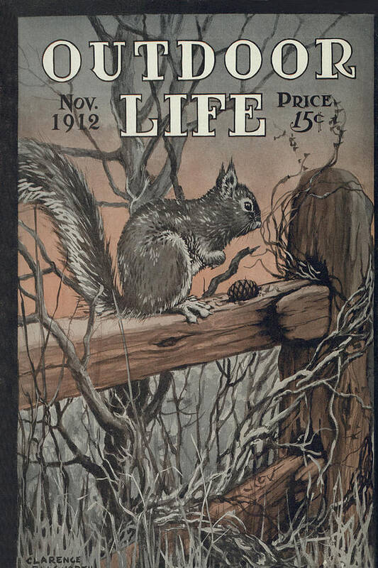 Squirrel Art Print featuring the painting Outdoor Life Magazine Cover November 1912 by Outdoor Life