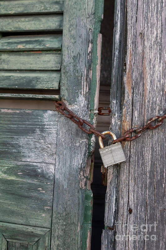 Building Art Print featuring the photograph Padlock And Chain On A Door by Jim West/science Photo Library