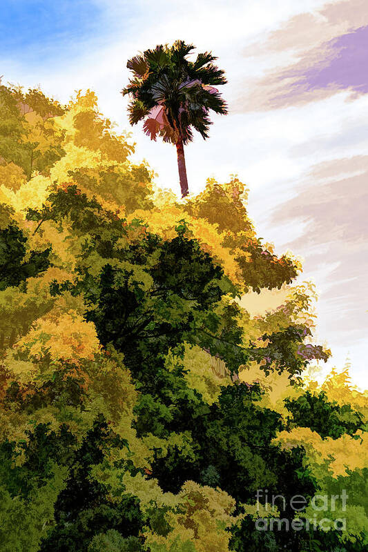 Art Art Print featuring the photograph Palm above the Trees by Roslyn Wilkins