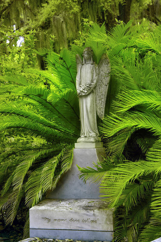 Cemetary Art Print featuring the photograph Peaceful Thoughts at Bonaventure Cemetary by Jon Glaser