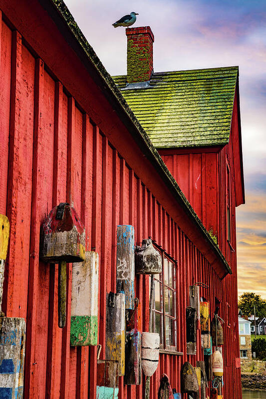 Motif 1 Art Print featuring the photograph Perched on Motif #1 - Rockport Harbor Massachusetts by Gregory Ballos