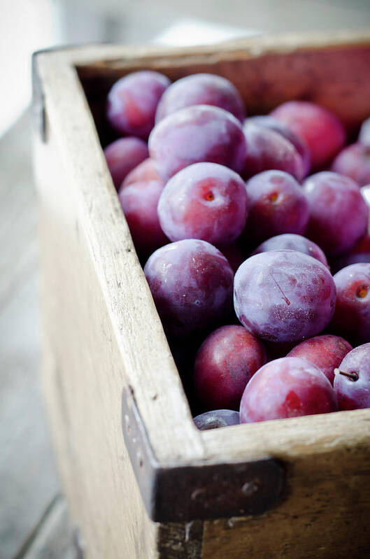 Plum Art Print featuring the photograph Plums by Marju Randmer