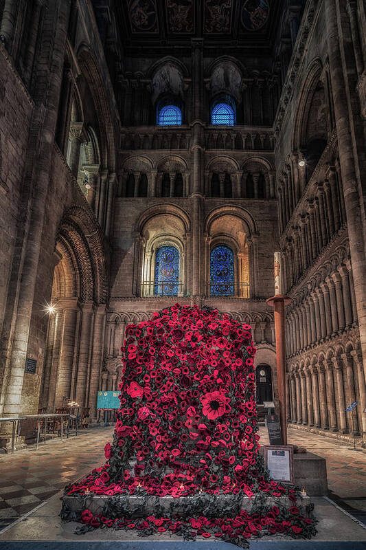 100 Art Print featuring the photograph Poppy Display at Ely Cathedral by James Billings