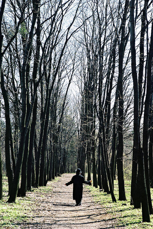 Forest Art Print featuring the photograph Praying in the forest by Alon Mandel