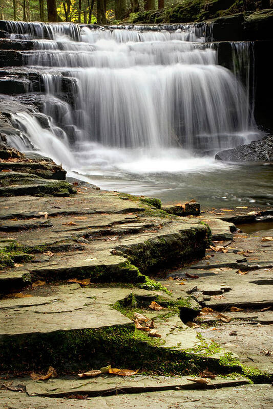 Waterfalls Art Print featuring the photograph Pure And Tranquil Waterfall by Christina Rollo