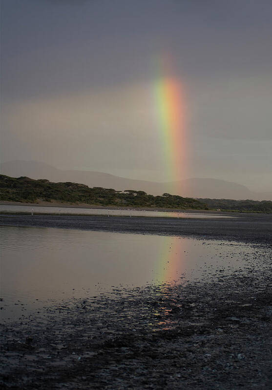 Africa Art Print featuring the photograph Rainbow by Patrick Nowotny