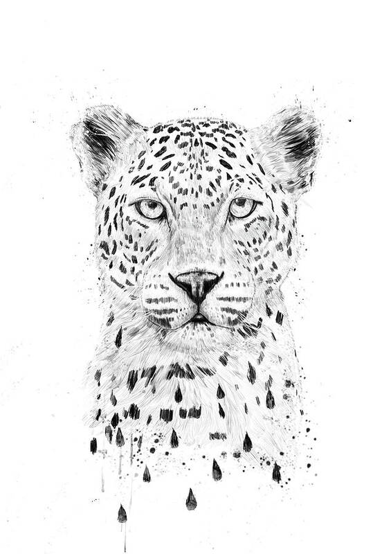 Leopard Art Print featuring the drawing Raining again by Balazs Solti