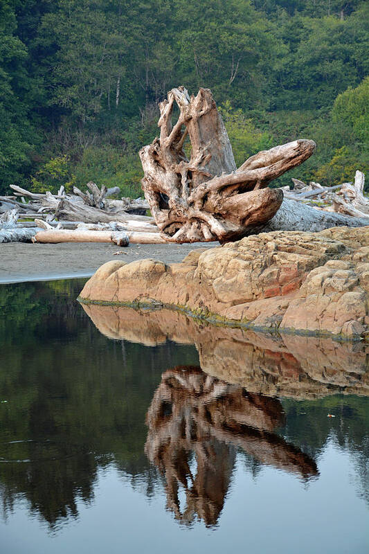 Olympic National Park Art Print featuring the photograph Reflections in Olympic National Park by Bruce Gourley