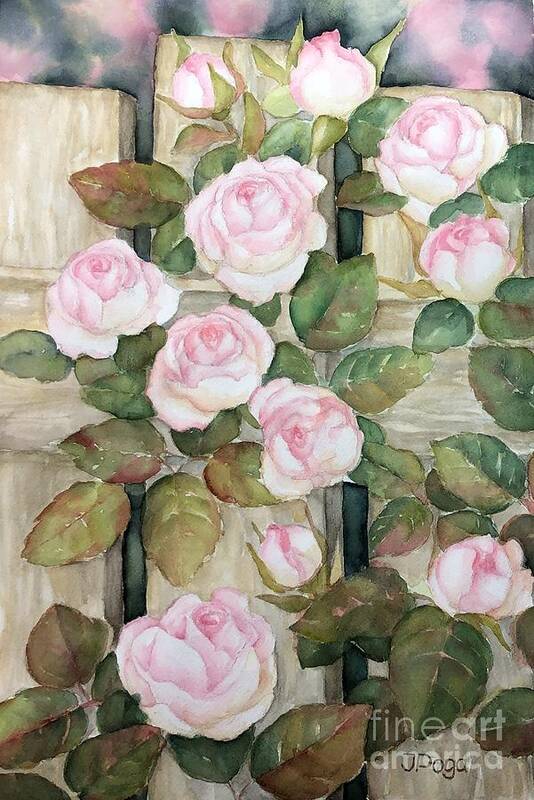 Floral Art Print featuring the painting Garden roses on fence by Inese Poga
