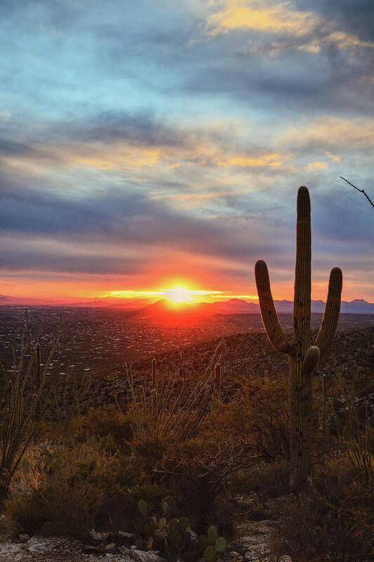 Tucson Art Print featuring the photograph Saguaro Cactus and Tucson at Sunset by Chance Kafka