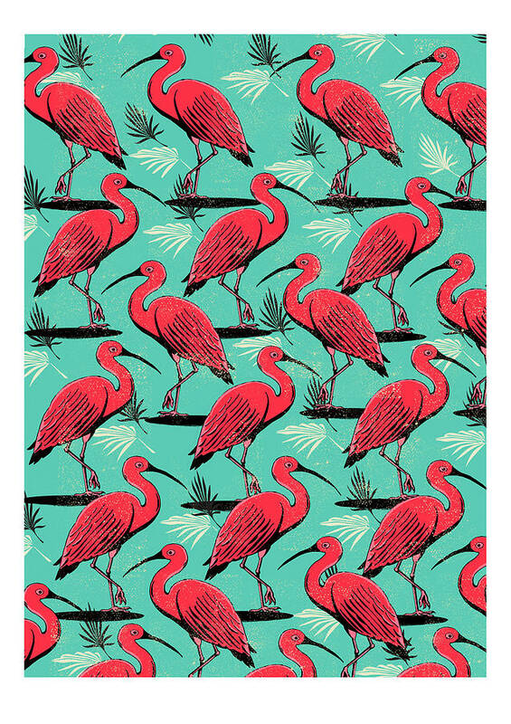Scarlet Ibis Art Print featuring the digital art Scarlet Ibis by Jill White