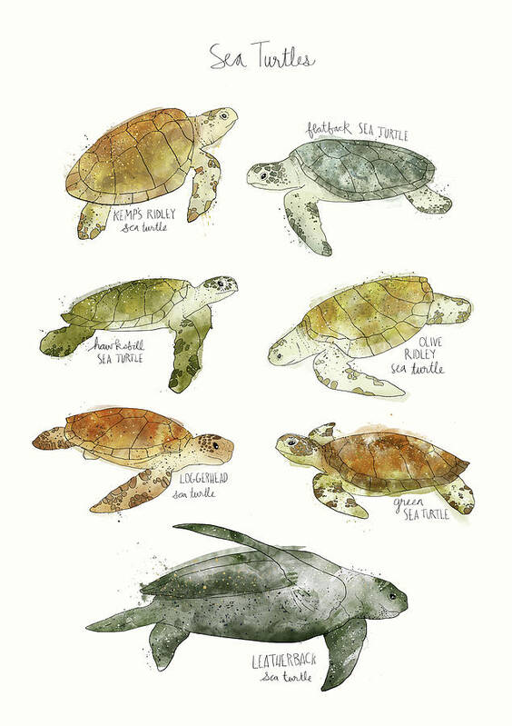 Sea Art Print featuring the mixed media Sea Turtles by Amy Hamilton