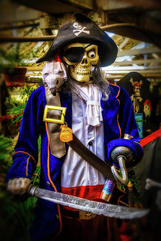 Skeleton Art Print featuring the photograph Skeleton Pirate by Garry Gay