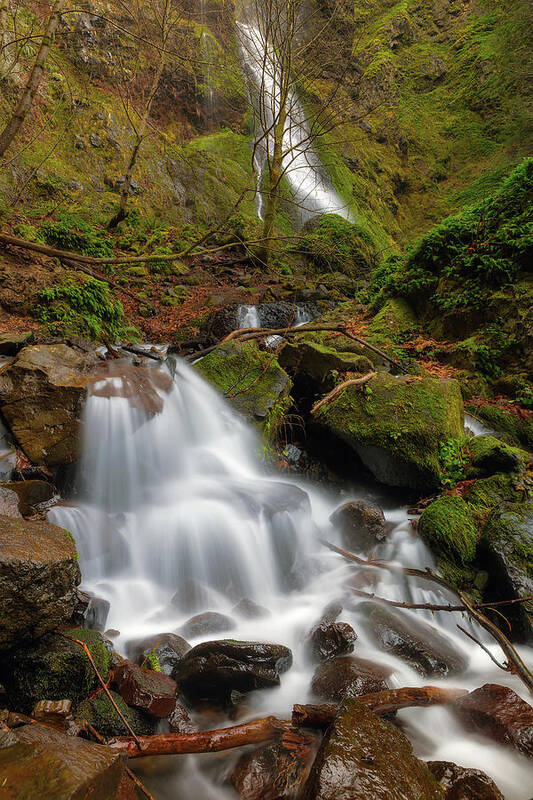 Starvation Art Print featuring the photograph Small Waterfall by Starvation Creek Falls by David Gn