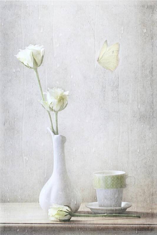 Still Life Art Print featuring the photograph Soft White Petals by Delphine Devos
