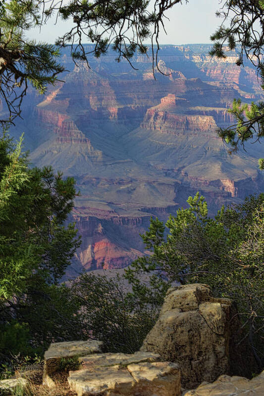 Top Seller Art Print featuring the photograph South Rim - Grand Canyon by Paulette B Wright