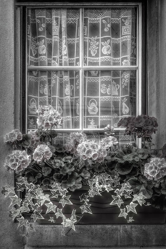 Barn Art Print featuring the photograph Summer Geraniums in the Window Black and White by Debra and Dave Vanderlaan
