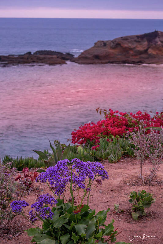 Ocean Art Print featuring the photograph Sunset Beach Flowers by Aaron Burrows