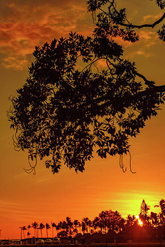 Hawaii Art Print featuring the photograph Sunset by the Pier by John Bauer