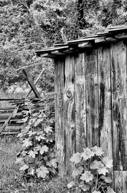 Appalachian Art Print featuring the photograph The Outhouse by Paul W Faust - Impressions of Light