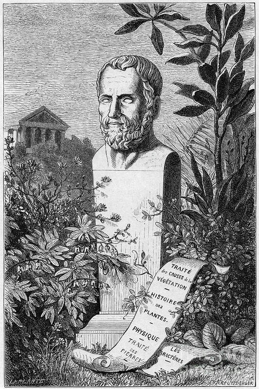 Engraving Art Print featuring the drawing Theophrastus, Ancient Greek Philosopher by Print Collector