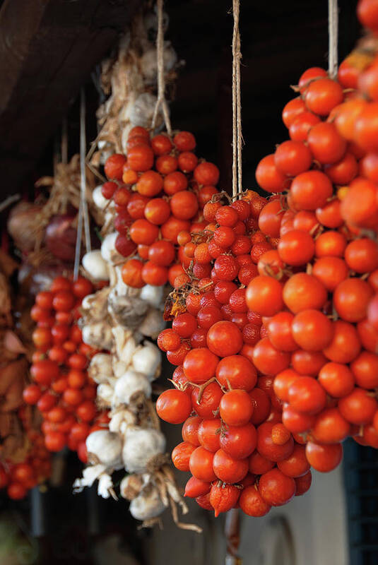 Hanging Art Print featuring the photograph Tomatoes, Garlic And Onions Hanging, In by Dallas Stribley