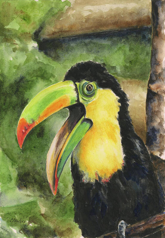 Toucan Art Print featuring the painting Toucan Bill by Charlsie Kelly