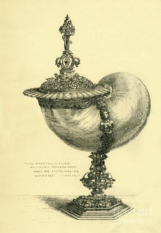 Metalwork Art Print featuring the drawing Trochus Shell Cup And Lid by Print Collector
