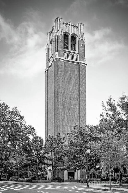 University Of Florida Art Print featuring the photograph University of Florida Century Tower by University Icons
