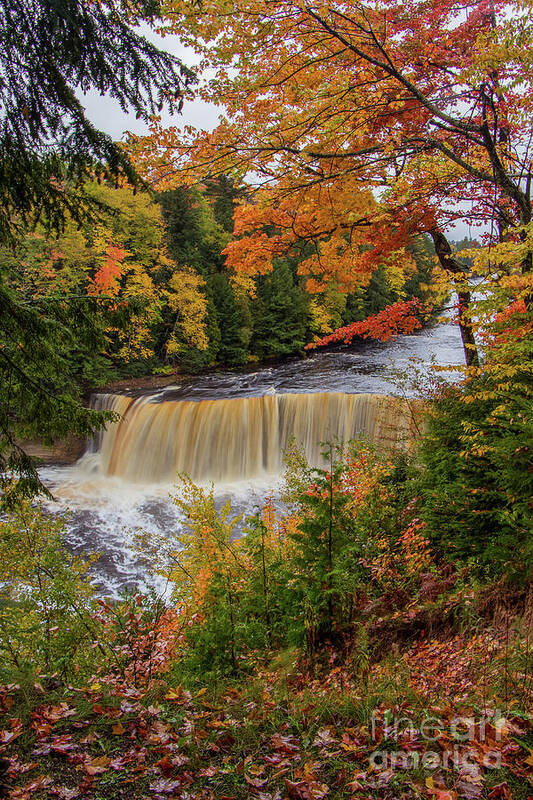 Upper Art Print featuring the photograph Upper Tahquamenon Autumn Colors -0007 by Norris Seward