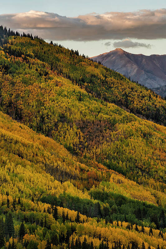 Colorado Art Print featuring the photograph Vertical View Two by Denise Bush