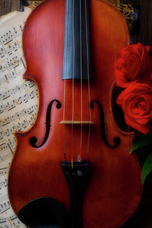Old Art Print featuring the photograph Violin And Two Red Roses by Garry Gay