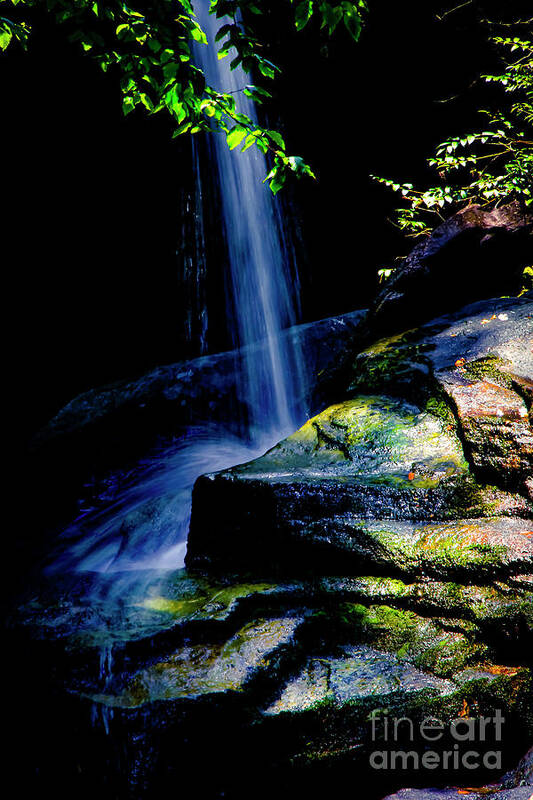 Paddy's Creek Falls Art Print featuring the photograph Waterfall Oasis by Marina McLain