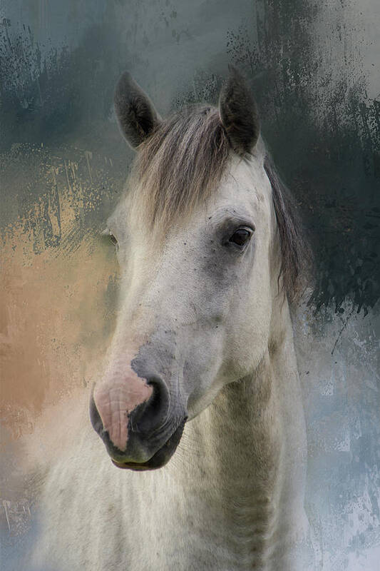 Photography Art Print featuring the digital art White Horse Painted by Terry Davis